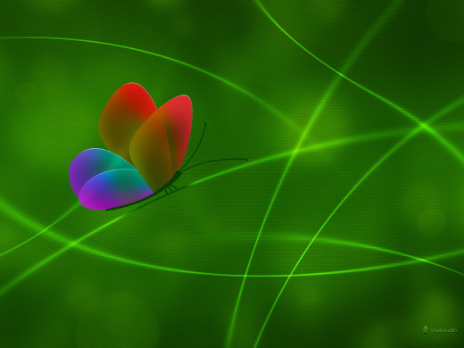 302793 (a): :1600x1200